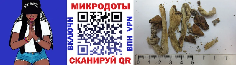 Псилоцибиновые грибы GOLDEN TEACHER  Купить закладки  Бобров 